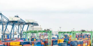 Freight Forwarder for Your Business: Why Is It Important?