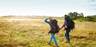 Everything You Need to Enjoy a Walking Holiday in the Scottish Borders