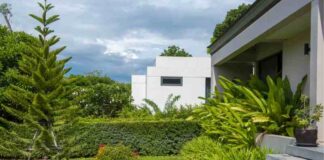 Small Space Landscaping: A Guide to Maximizing Your Space Beautiful modern house in nature environment