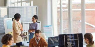 Which companies outsource software development?