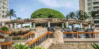 Investing Wisely – Avoiding Common Mistakes in Commercial Landscape Care