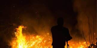 The Phoenix Effect: Harnessing Forensic Fire Investigation to Rebuild and Renew