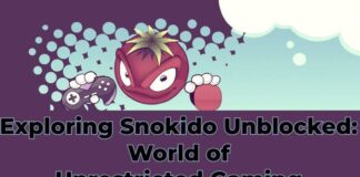 Exploring Snokido Unblocked: World of Unrestricted Gaming Snokido Unblocked- World of Unrestricted Gaming