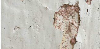 Important Things to Know About Leaks in Your Home Full frame shot of weathered wall